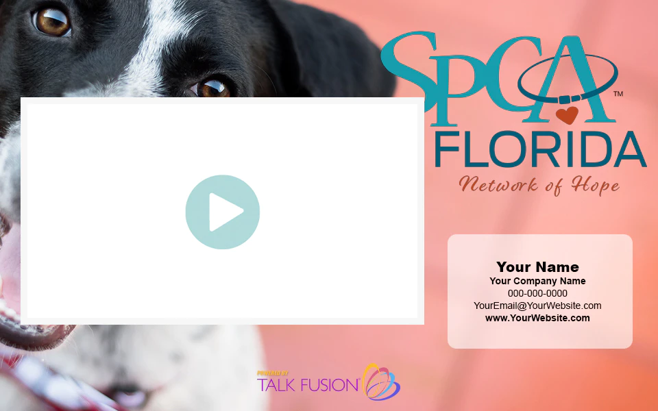 Video Email Template